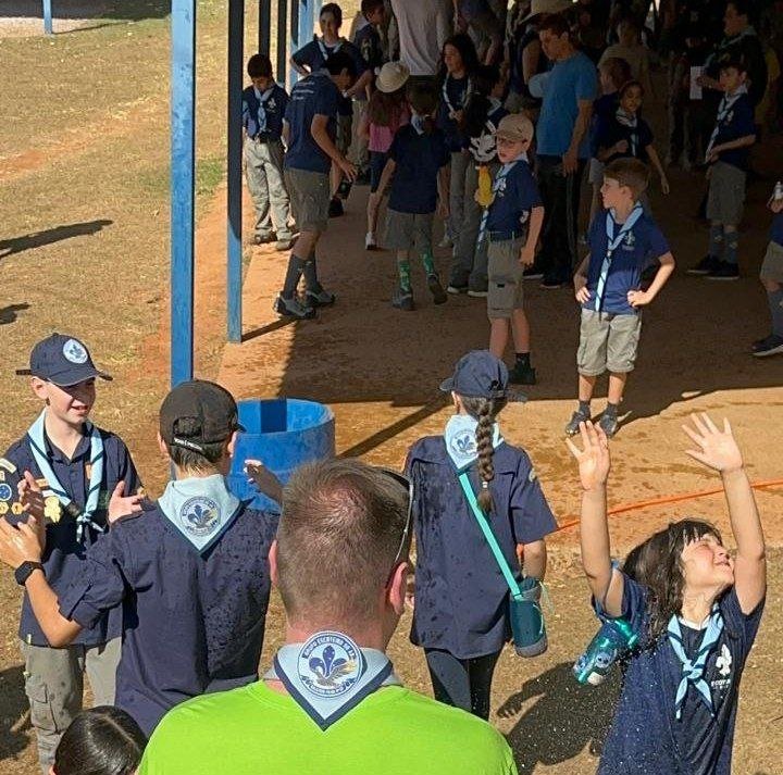 Lobinhos em atividade